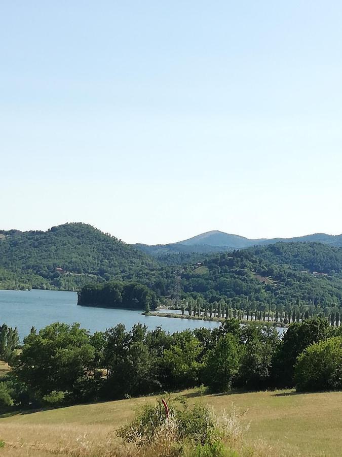 Il Lago Del Mugello B&B Barberino di Mugello Bagian luar foto